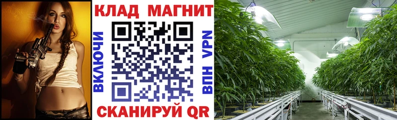 Купить наркоту Новый Уренгой Alpha-PVP Марихуана АМФ Гашиш Мефедрон
