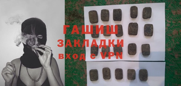 сатива Туринск