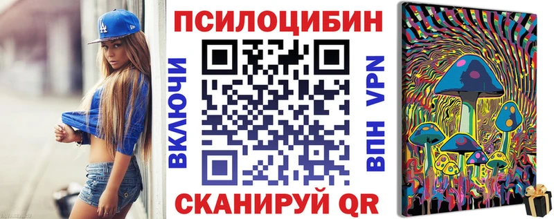 купить  сайты  Новый Уренгой  Галлюциногенные грибы Psilocybe 