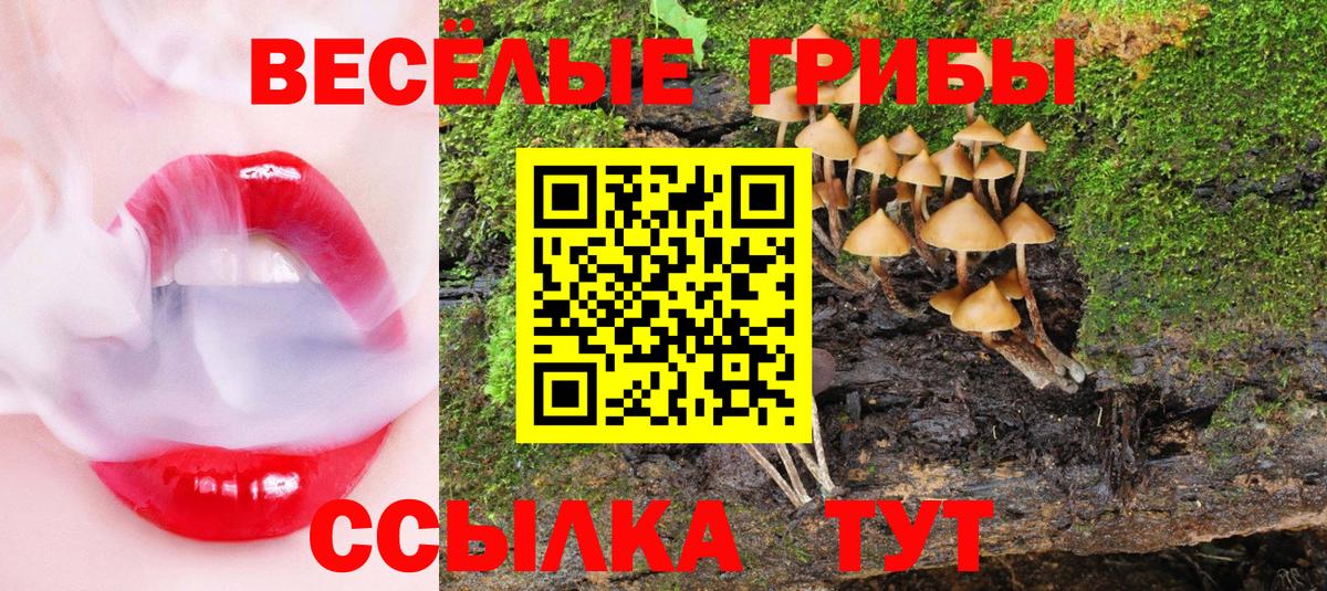 цены   Галлюциногенные грибы Cubensis  Псилоцибиновые грибы Psilocybine cubensis  Вход с VPN  Новый Уренгой 