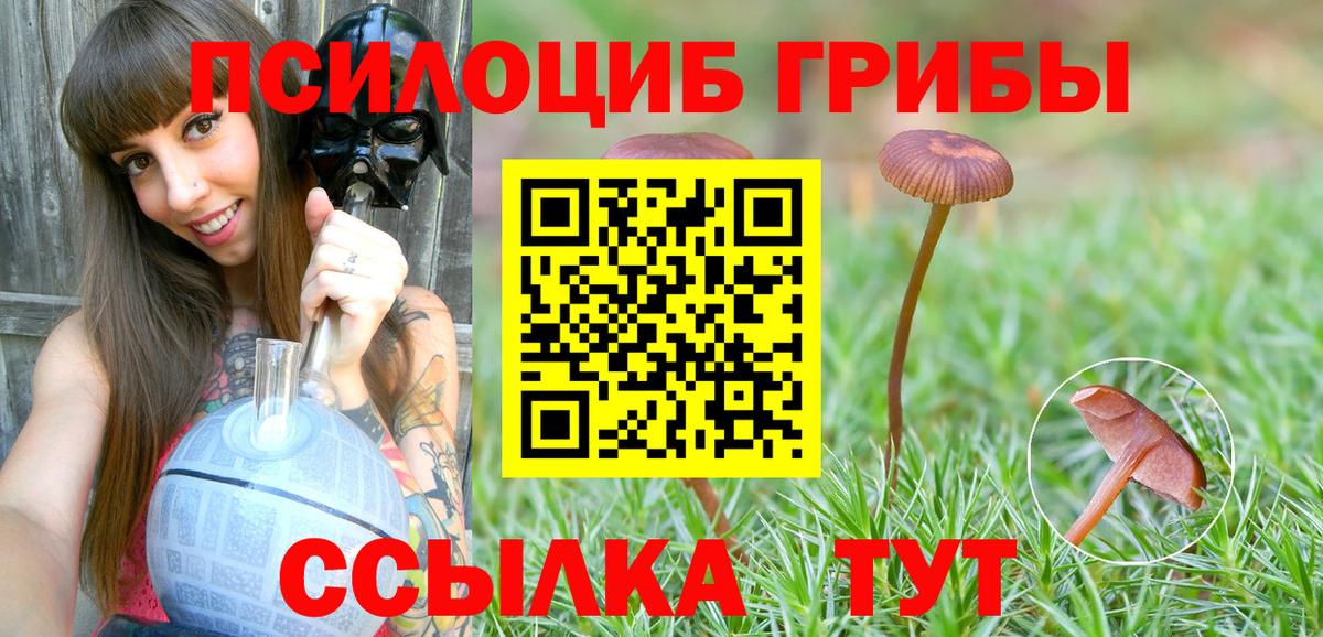 Галлюциногенные грибы MAGIC MUSHROOMS Новый Уренгой