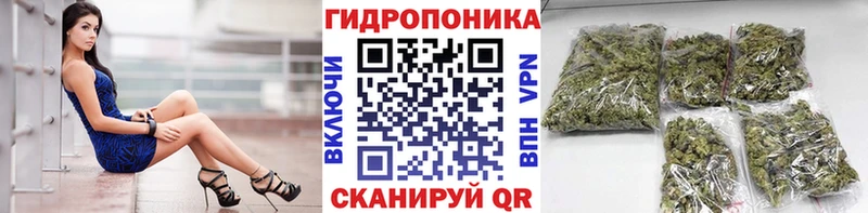 Бошки Шишки OG Kush  как найти наркотики  Новый Уренгой 